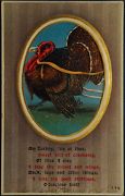 My Turkey 'tis of Thee