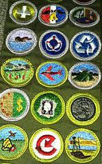 Six Thoughts on Merit Badge Requirements and Learning&nbsp;Challenges